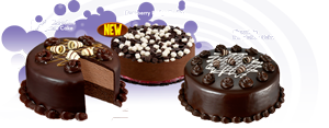 Chocolate ice cream cakes